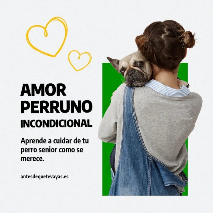 diseño gráfico estratégico para redes sociales artículo SEO blog