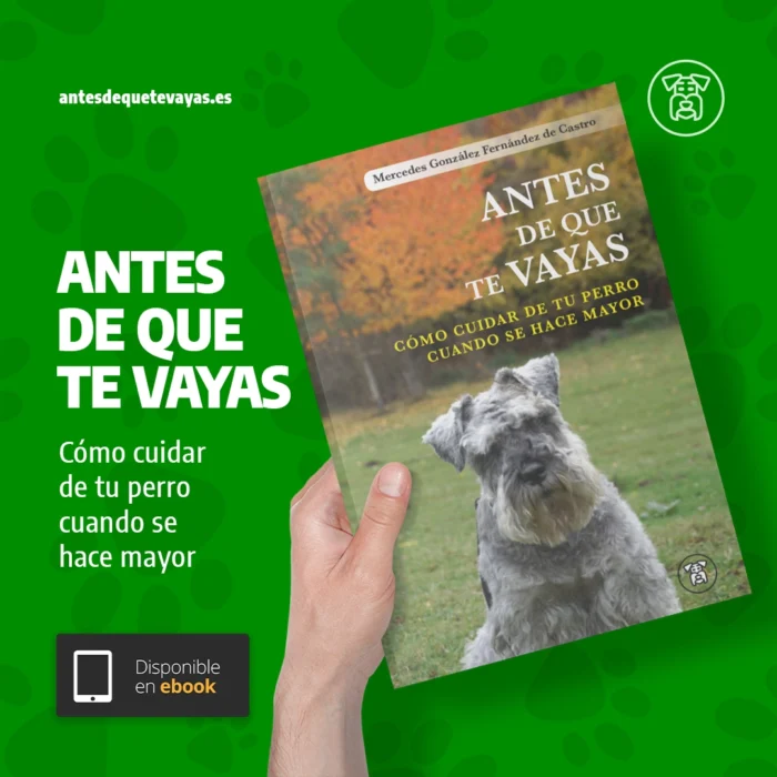 diseño gráfico estratégico para redes sociales promoción libro