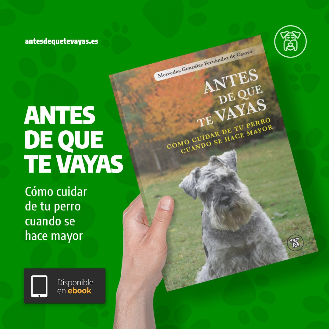 diseño gráfico estratégico para redes sociales promoción libro
